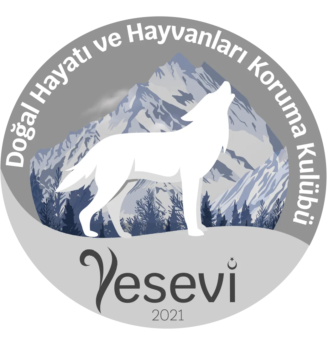 Yesevi Doğa